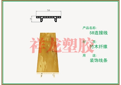 柏思特58连接线