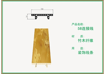 柏思特58连接线